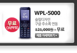 인터넷전화기 WPL-5000